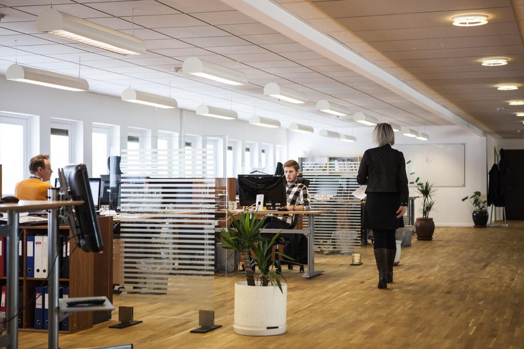 ¿Cómo identificar talento oculto en tu empresa o el mercado laboral?
